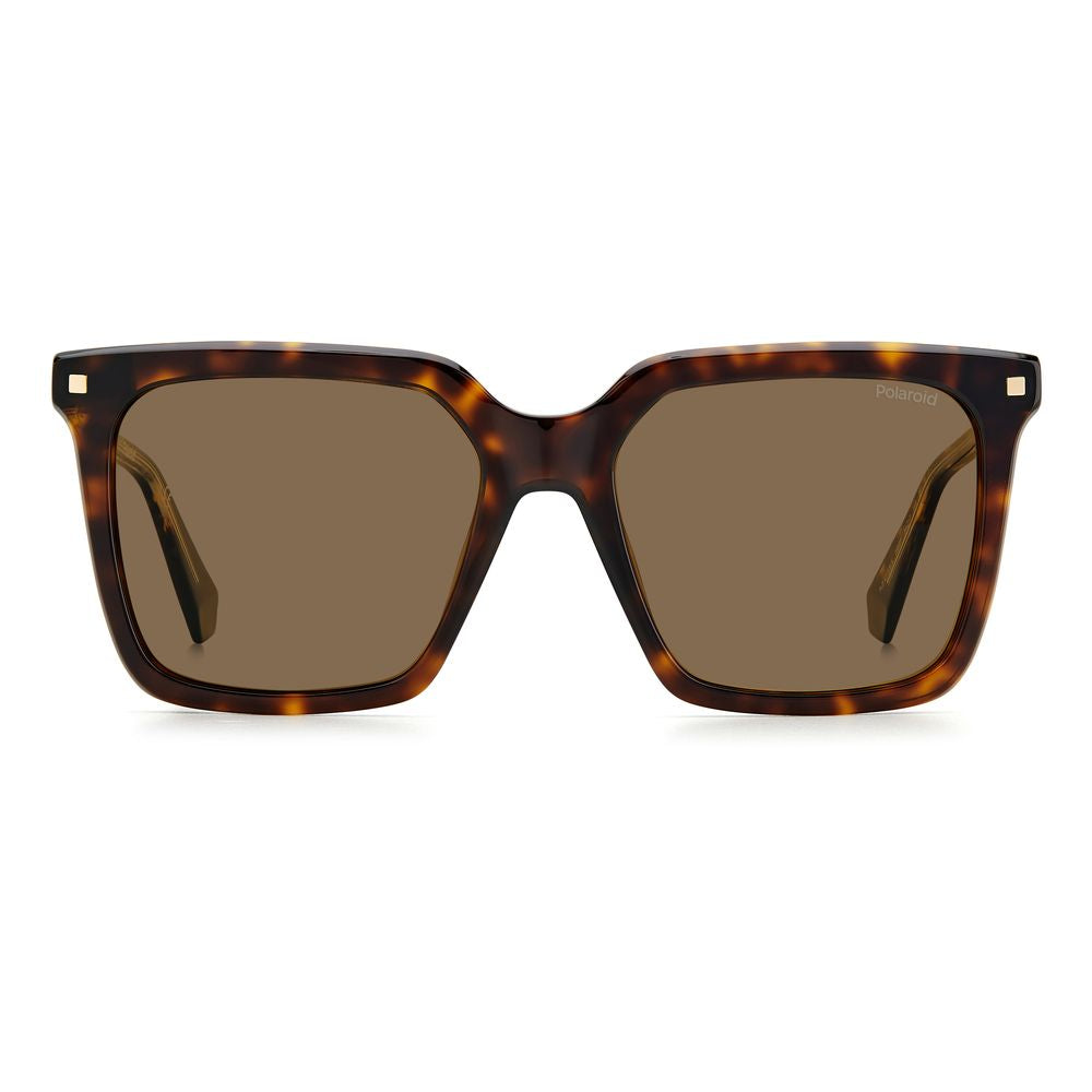 Brown Haircalf Sunglasses