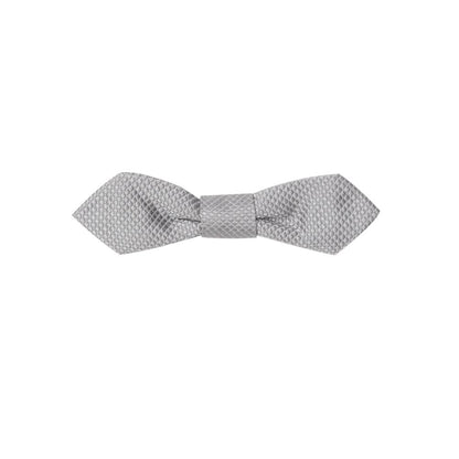 Gray Silk Ties & Bowty