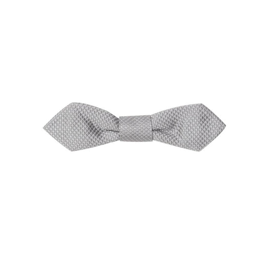 Gray Silk Ties & Bowty
